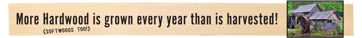 More hardwood is grown every year than is harvested!
